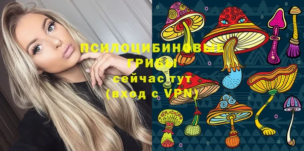 ГАЛЛЮЦИНОГЕННЫЕ ГРИБЫ Алзамай