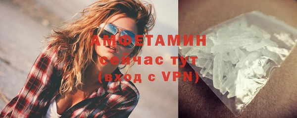 ПСИЛОЦИБИНОВЫЕ ГРИБЫ Арсеньев