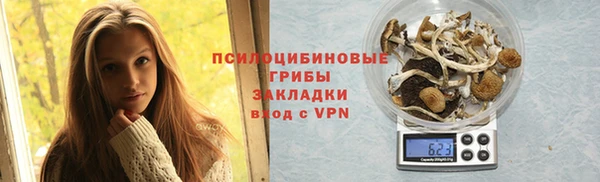 ПСИЛОЦИБИНОВЫЕ ГРИБЫ Арсеньев
