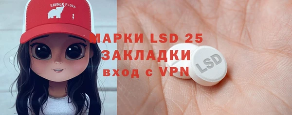ПСИЛОЦИБИНОВЫЕ ГРИБЫ Арсеньев