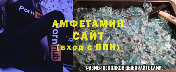 ПСИЛОЦИБИНОВЫЕ ГРИБЫ Арсеньев