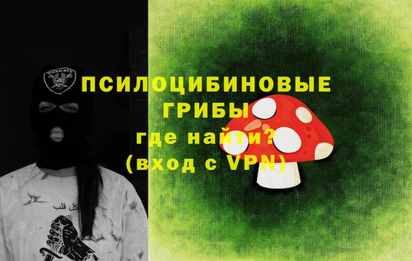 ПСИЛОЦИБИНОВЫЕ ГРИБЫ Арсеньев