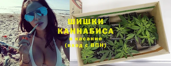 ПСИЛОЦИБИНОВЫЕ ГРИБЫ Арсеньев