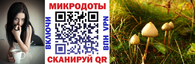 Галлюциногенные грибы мицелий  Артёмовск 