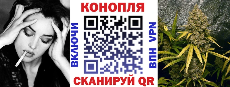 Бошки марихуана планчик  omg как зайти  Артёмовск 